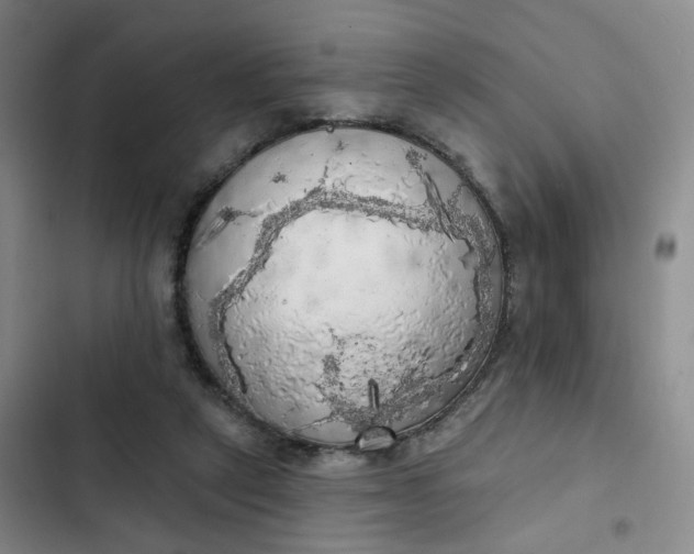 X0000102500257200808221801