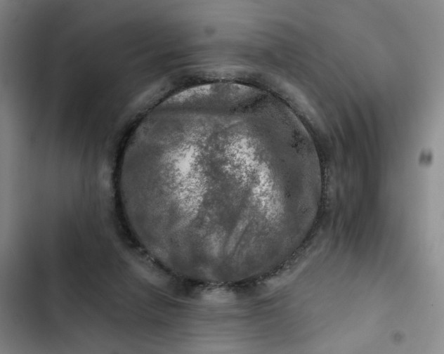 X0000102500258200808221801