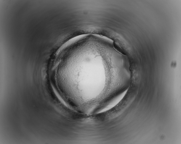 X0000102500259200808221801