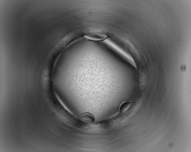 X0000102500260200808221801