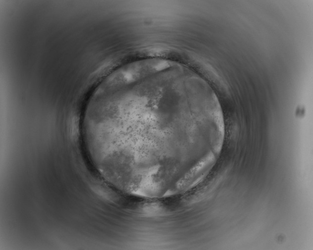 X0000102500262200808221801