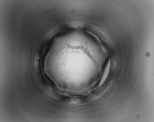 X0000102500263200808221801