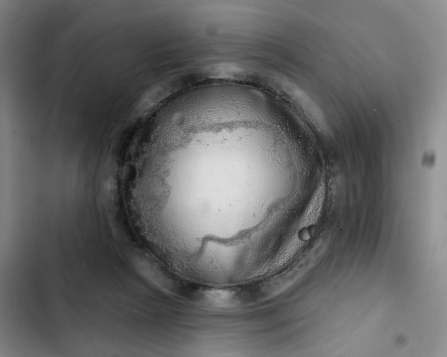 X0000102500265200808221801