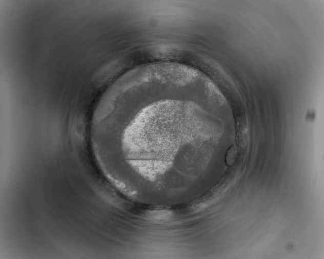 X0000102500266200808221801