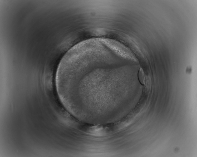 X0000102500267200808221801