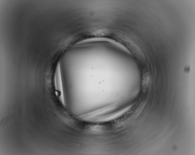 X0000102500268200808221801