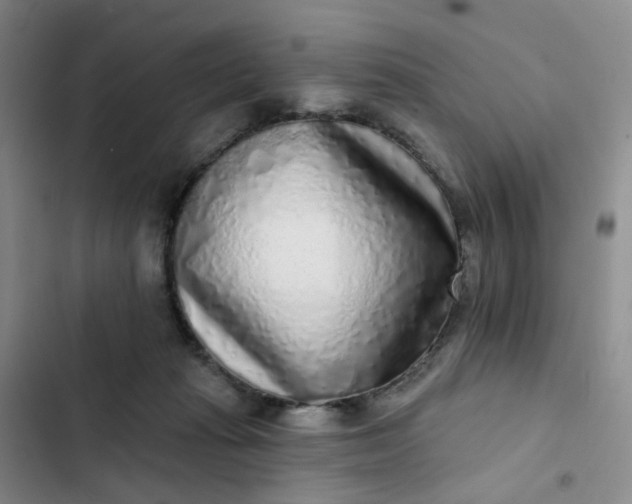 X0000102500269200808221801