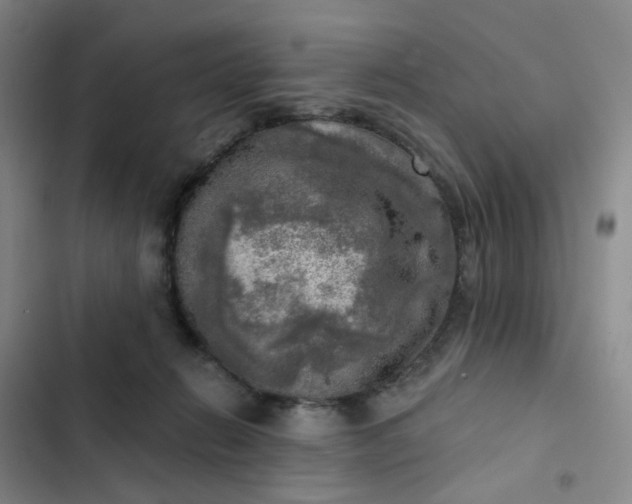 X0000102500270200808221801