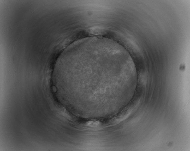 X0000102500271200808221801