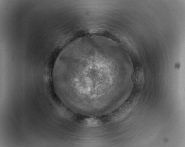 X0000102500272200808221801