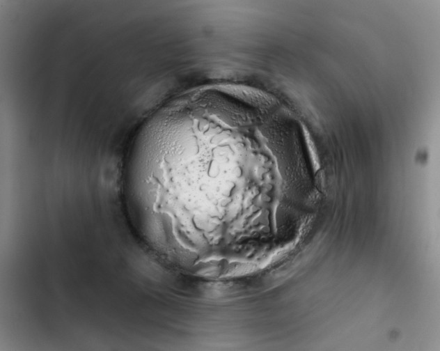 X0000102500273200808221801