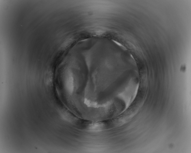 X0000102500274200808221801