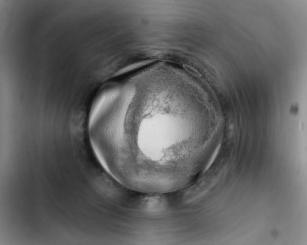 X0000102500275200808221801