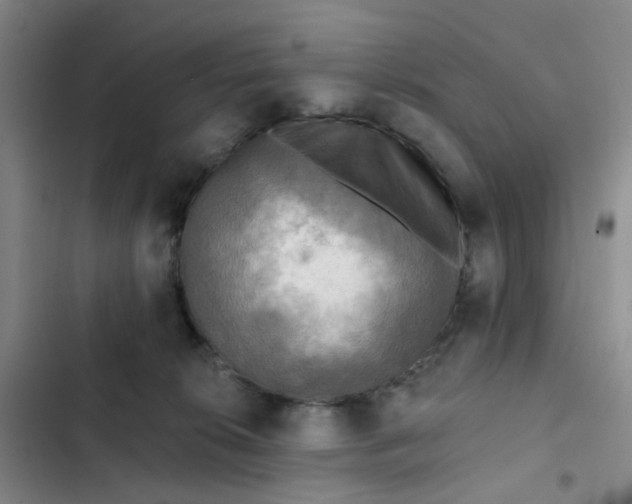 X0000102500276200808221801