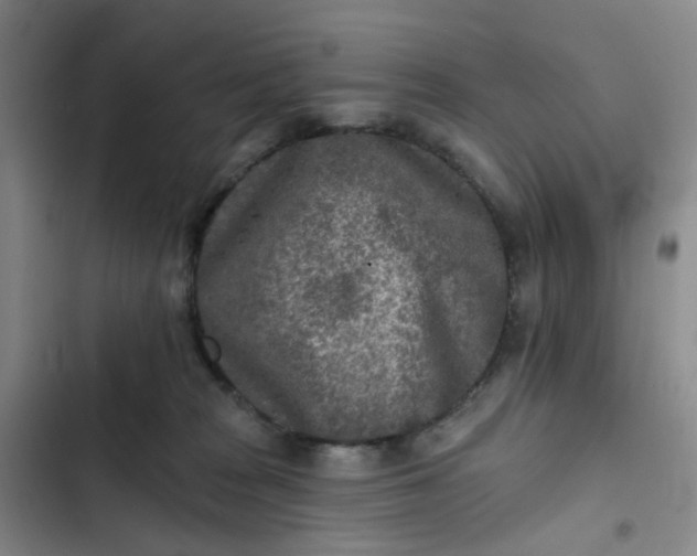 X0000102500277200808221801