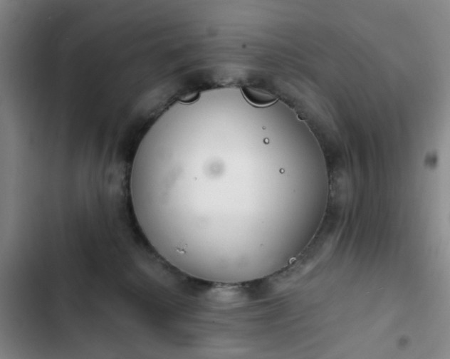 X0000102500280200808221801