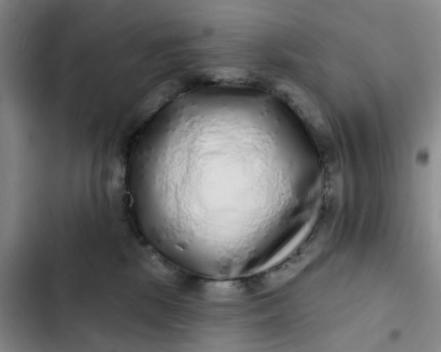 X0000102500281200808221801