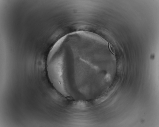 X0000102500282200808221801