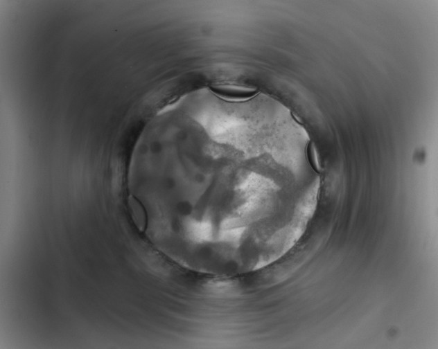 X0000102500283200808221801