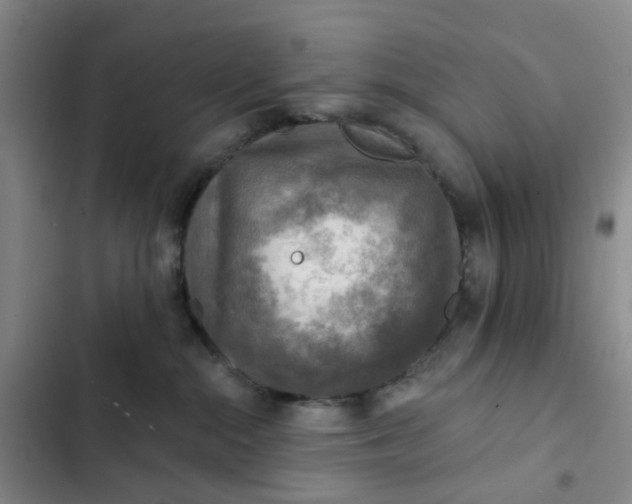 X0000102500284200808221801