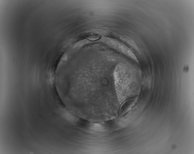 X0000102500285200808221801