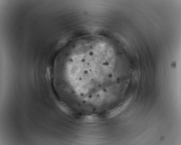 X0000102500286200808221801