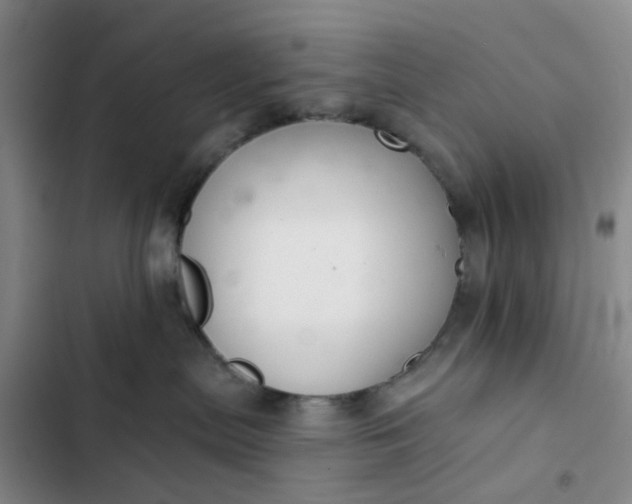 X0000102500287200808221801