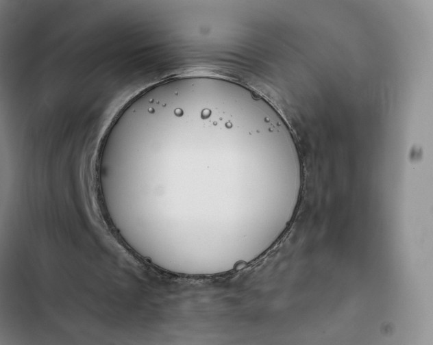 X0000102500289200808221801