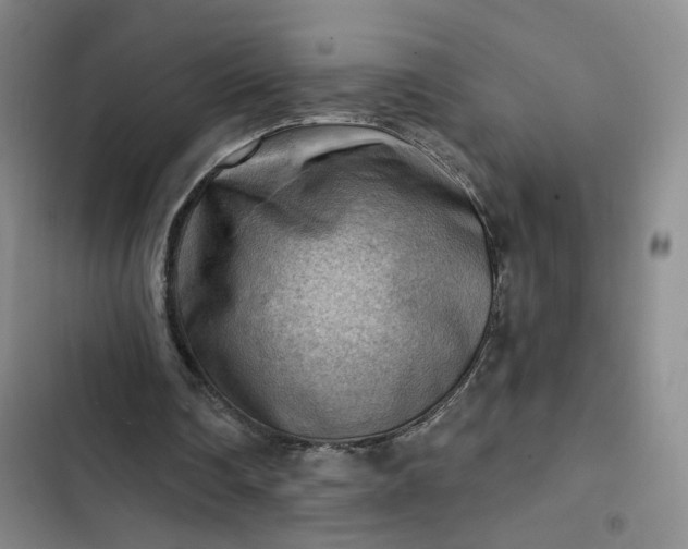 X0000102500290200808221801