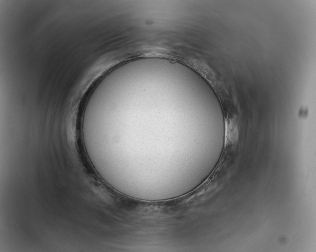 X0000102500291200808221801