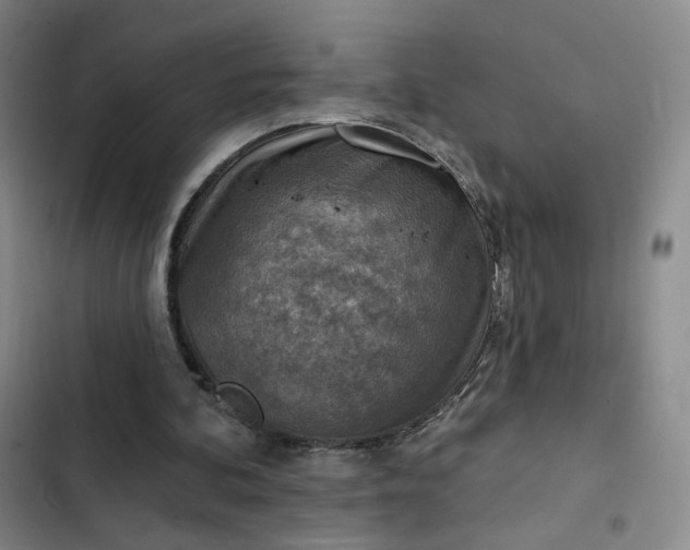 X0000102500292200808221801