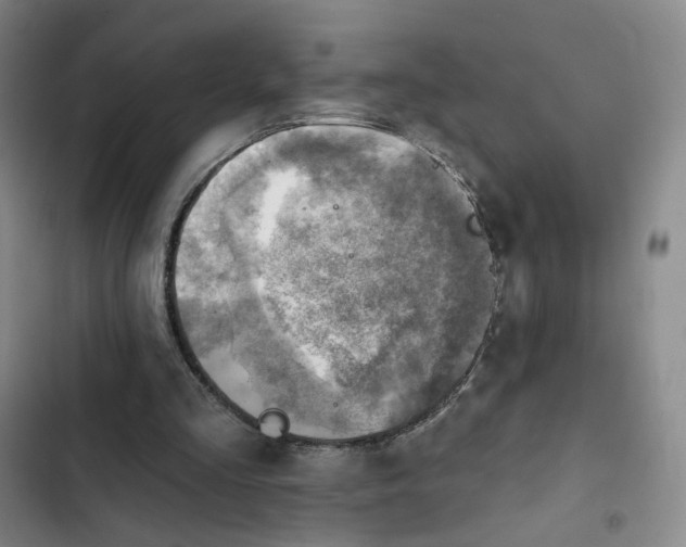 X0000102500293200808221801