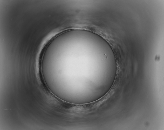 X0000102500294200808221801