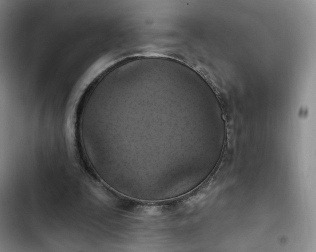 X0000102500295200808221801