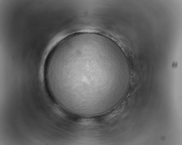 X0000102500296200808221801