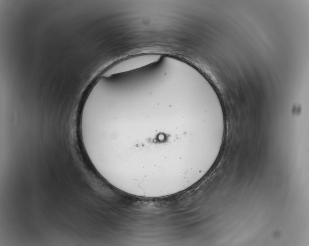 X0000102500297200808221800