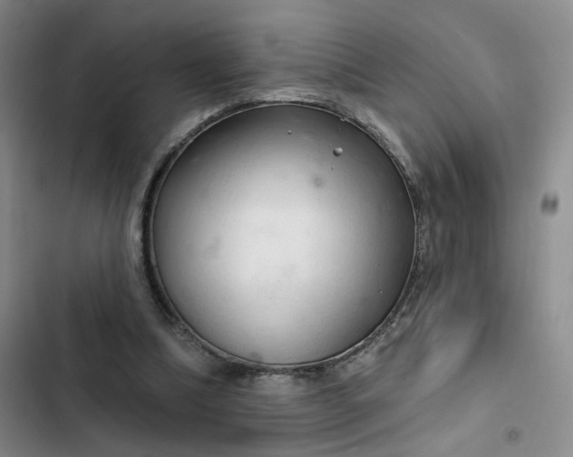 X0000102500298200808221800