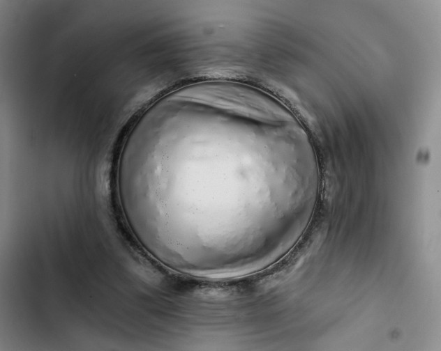 X0000102500299200808221800