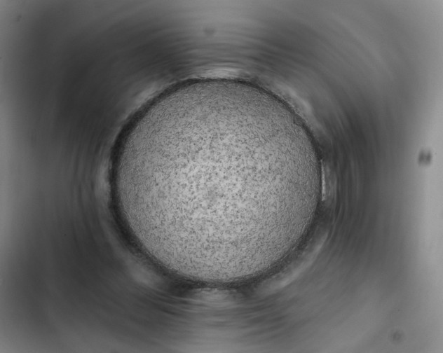 X0000102500300200808221800