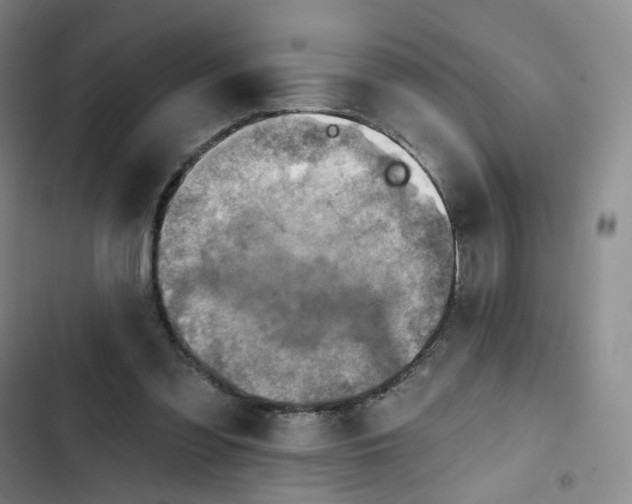 X0000102500301200808221800