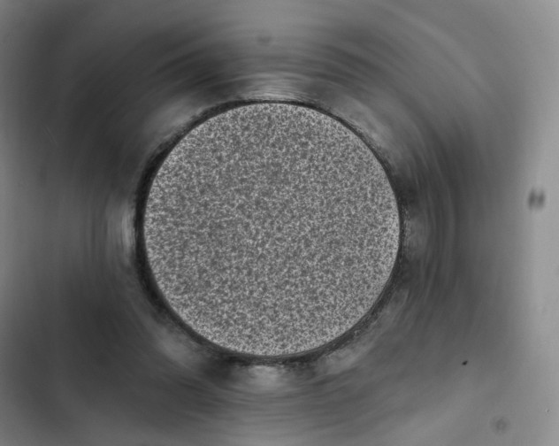 X0000102500302200808221800