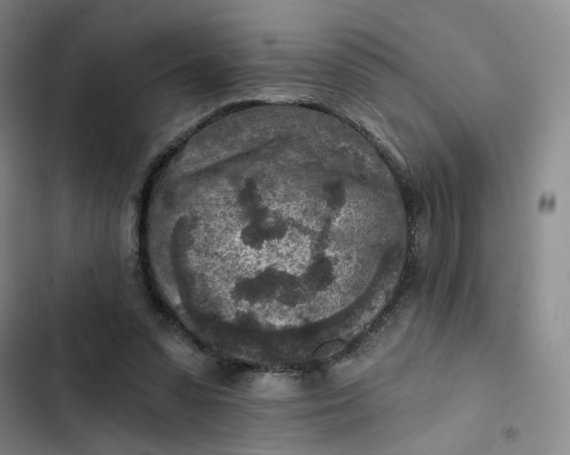 X0000102500303200808221800