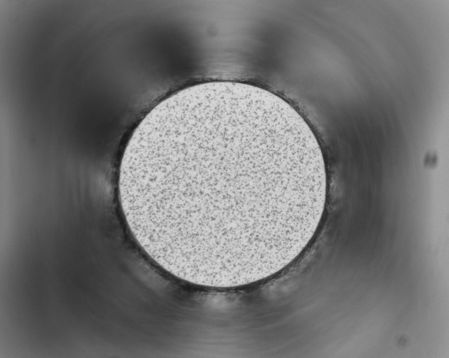 X0000102500305200808221800