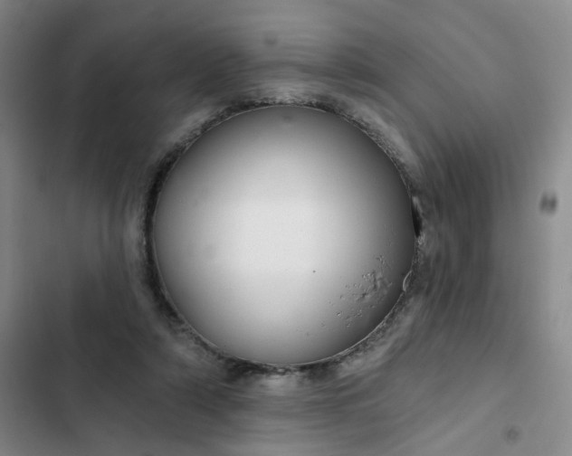 X0000102500306200808221800