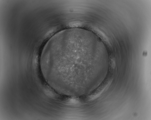 X0000102500308200808221800