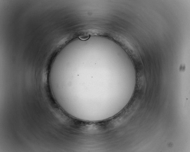 X0000102500310200808221800