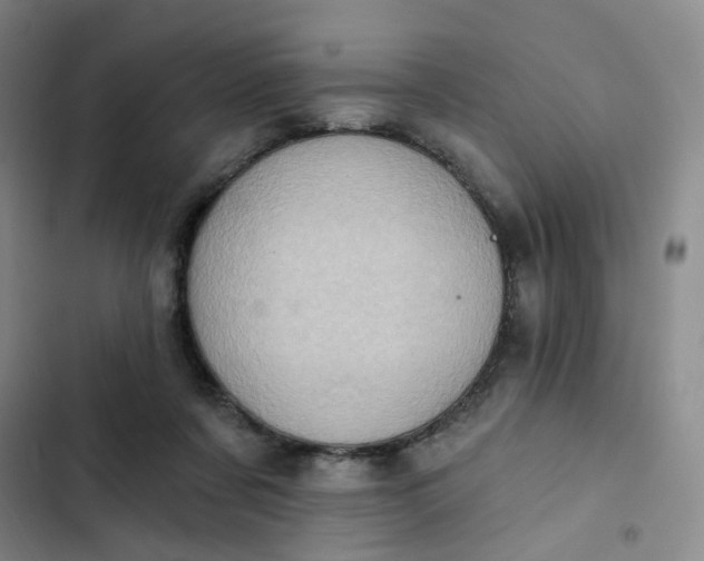 X0000102500311200808221800