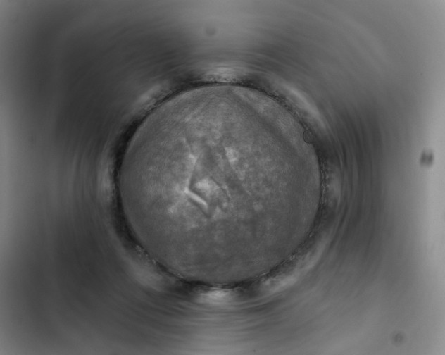 X0000102500312200808221800