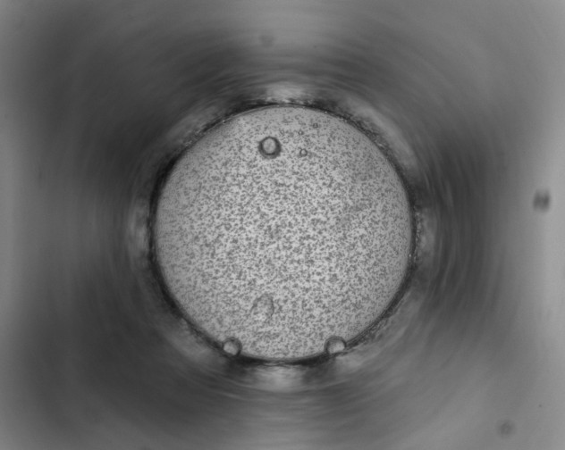 X0000102500313200808221800