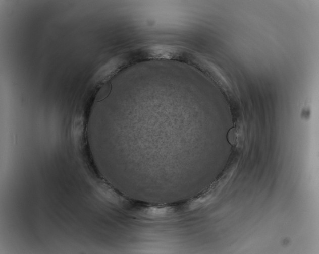 X0000102500314200808221800